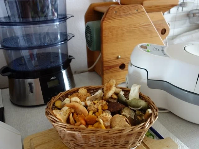 Rezept: Pilzgericht direkt aus dem Walde Pilzgericht direkt aus dem Walde - Rezept