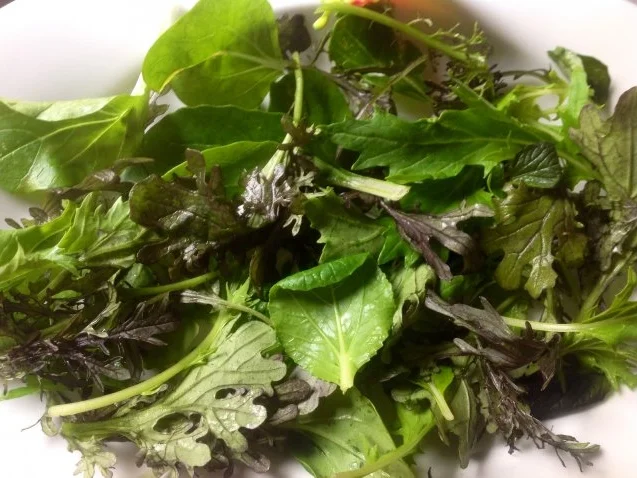 Gemischter Salat mit Pflaumen, Büffelmozzarella und einem Mandeldressing - Rezept - Bild Nr. 3