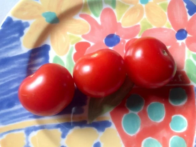 Gemischter Salat mit Pflaumen, Büffelmozzarella und einem Mandeldressing - Rezept - Bild Nr. 5