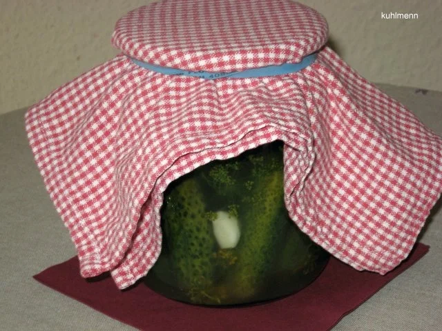 Rezept: Salz/Dill - Gurken Bild Nr. 2 Salz/Dill - Gurken - Rezept - Bild Nr. 2