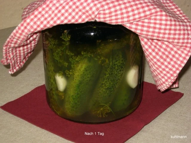 Rezept: Salz/Dill - Gurken Bild Nr. 3 Salz/Dill - Gurken - Rezept - Bild Nr. 3