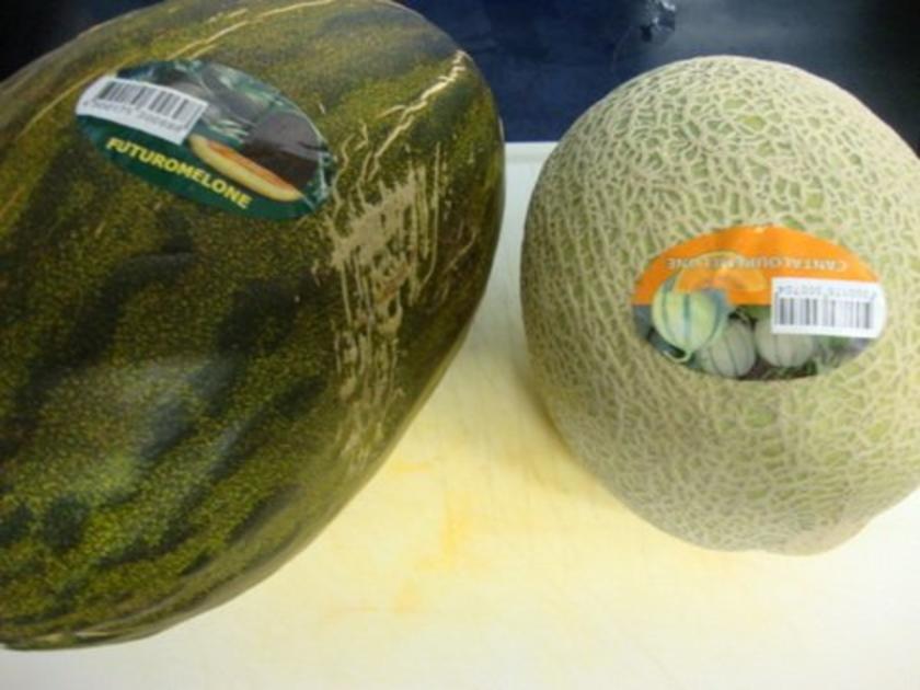 Melonen-Aprikosen Konfitüre - Rezept mit Bild - kochbar.de