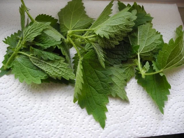 Quark nach Budwig-Art - Rezept - Bild Nr. 4