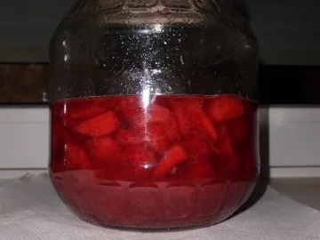 Liköre: Erdbeerlikör "Mrs. Peppy" - Rezept - Bild Nr. 4