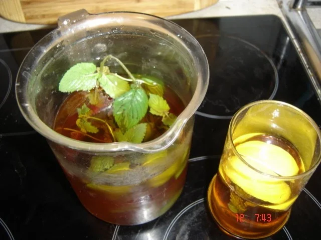 Kräuter-Apfel-Limo - Rezept