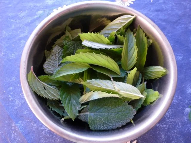 Pfefferminz-Zitronenmelisse-Likör - Rezept - Bild Nr. 4