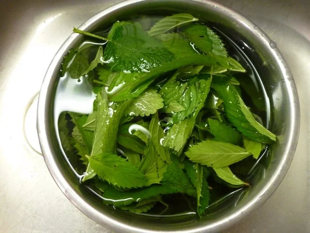 Pfefferminz-Zitronenmelisse-Likör - Rezept - Bild Nr. 5