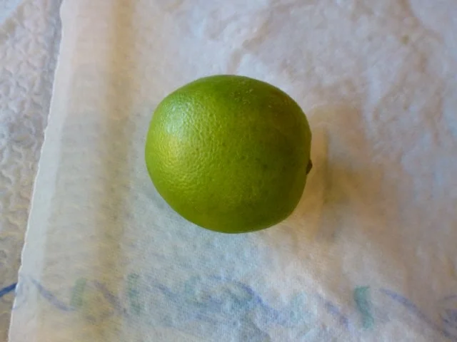 Pfefferminz-Zitronenmelisse-Likör - Rezept - Bild Nr. 9