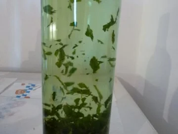 Pfefferminz-Zitronenmelisse-Likör - Rezept - Bild Nr. 12