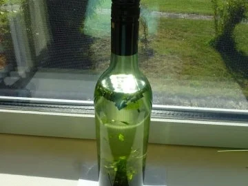 Pfefferminz-Zitronenmelisse-Likör - Rezept - Bild Nr. 13