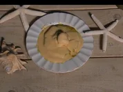 Rezept: Gegrillte Ananas mit Vanille - Eis und Advokaat Gegrillte Ananas mit Vanille - Eis und Advokaat - Rezept