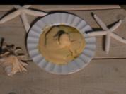 Gegrillte Ananas mit Vanille - Eis und Advokaat - Rezept
