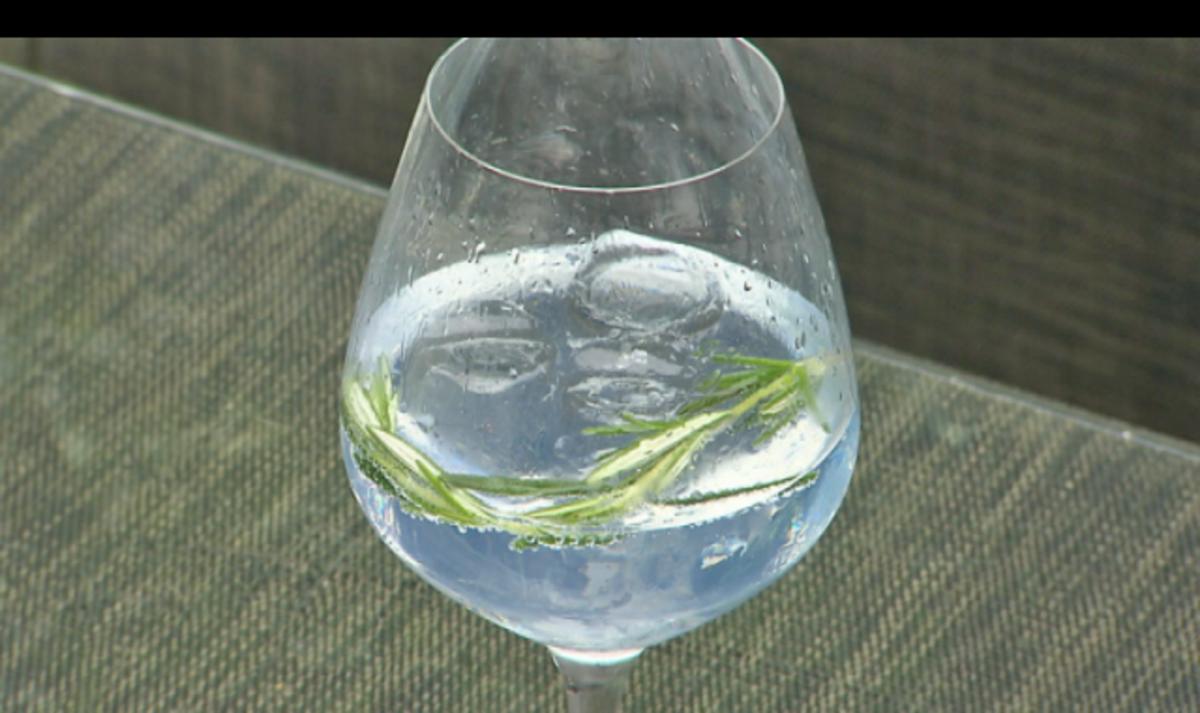 Mediterraner Gin Tonic - Rezept