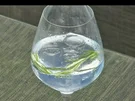 Mediterraner Gin Tonic - Rezept