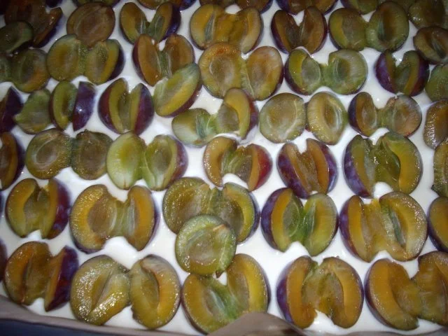 Rezept: zwetschgenblechkuchen mit butterstreusel Bild Nr. 3 zwetschgenblechkuchen mit butterstreusel - Rezept - Bild Nr. 3