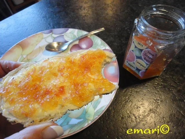 rosa Grapefruit - Campari - Ingwerjam - Rezept - Bild Nr. 9