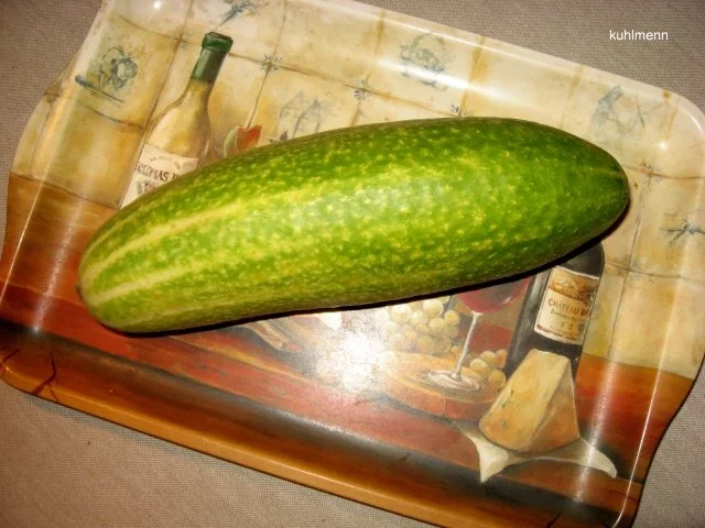 Schmorgurken/Hack - Topf - Rezept - Bild Nr. 2