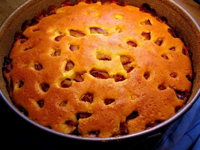 Rezept: Mein schneller Pflaumenkuchen Bild Nr. 6 Mein schneller Pflaumenkuchen - Rezept - Bild Nr. 6