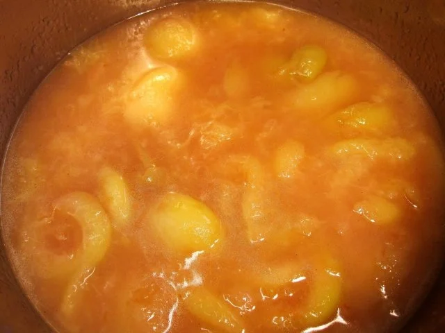 Pfirsich-Kompott - Rezept