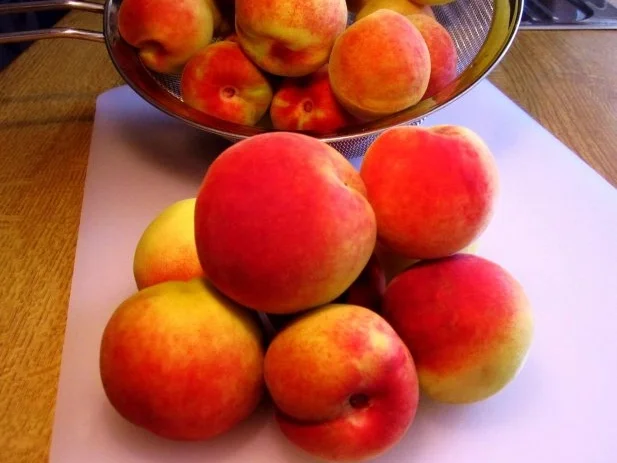 Pfirsich-Kompott - Rezept - Bild Nr. 3