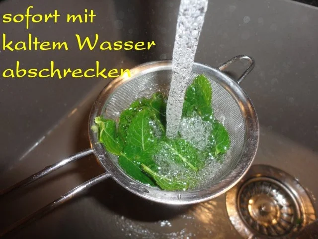 After Eight Melonen Creme mit Minze - Rezept - Bild Nr. 5