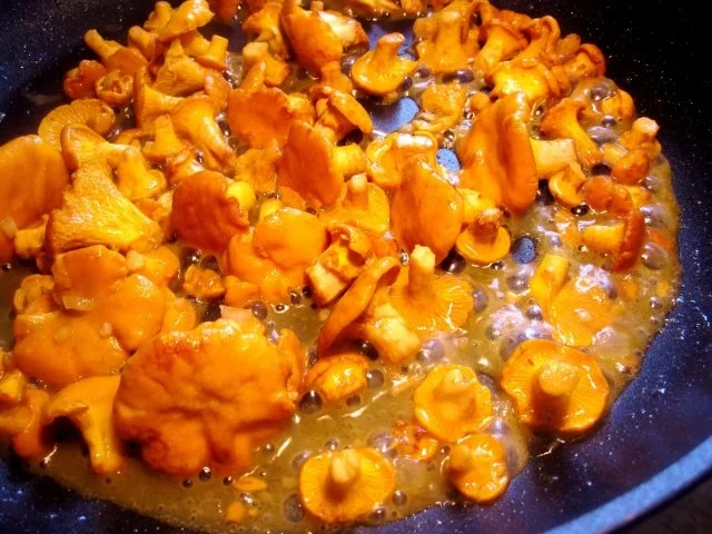 Rezept: Pfifferlinge einfrieren Bild Nr. 2 Pfifferlinge einfrieren - Rezept - Bild Nr. 2