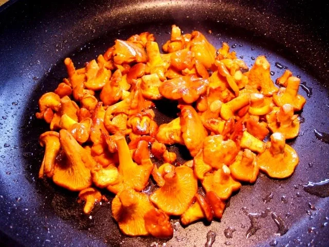 Rezept: Pfifferlinge einfrieren Bild Nr. 3 Pfifferlinge einfrieren - Rezept - Bild Nr. 3