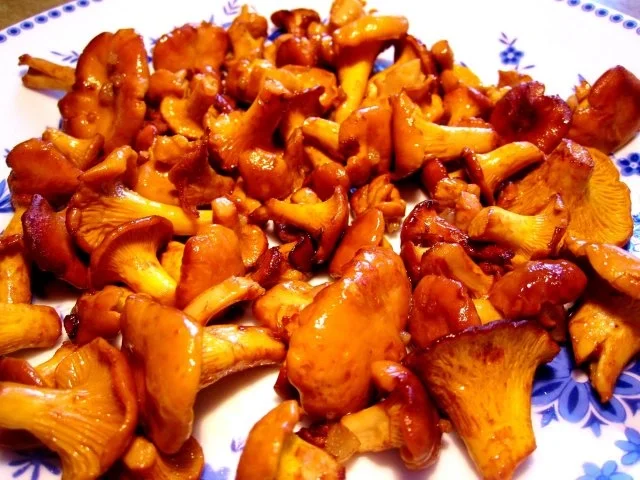 Rezept: Pfifferlinge einfrieren Bild Nr. 4 Pfifferlinge einfrieren - Rezept - Bild Nr. 4