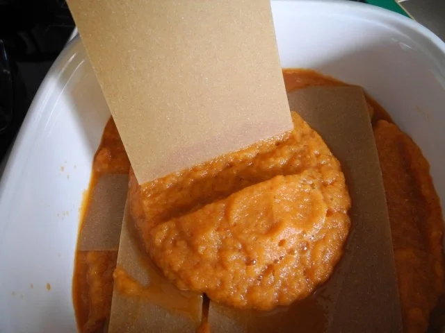 Rezept: Vollkorn - Lasagne mit püriertem Gemüse Bild Nr. 11 Vollkorn - Lasagne mit püriertem Gemüse - Rezept - Bild Nr. 11