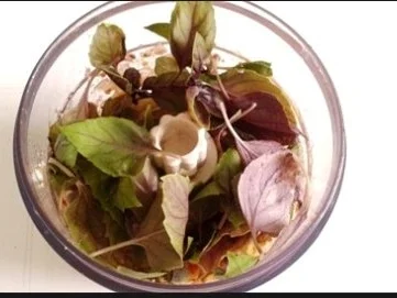 Selbstgemachtes Basilikum pesto auf Bandnudeln mit Tomaten - Rezept - Bild Nr. 13