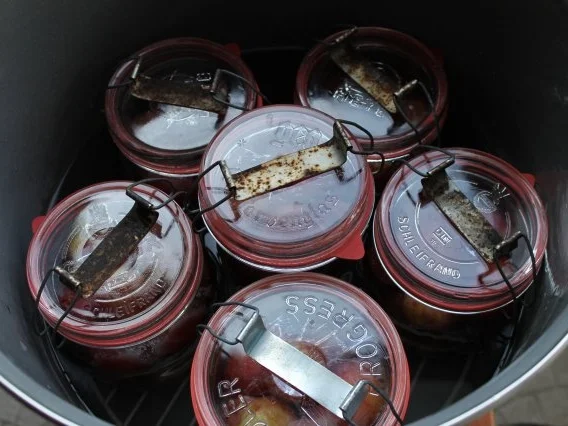 EINKOCHEN: EIERPFLAUMEN - Rezept - Bild Nr. 10