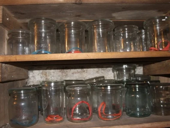 EINKOCHEN: EIERPFLAUMEN - Rezept - Bild Nr. 5