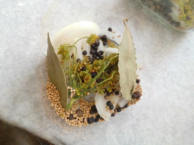 Gewürzgurken - Rezept - Bild Nr. 8