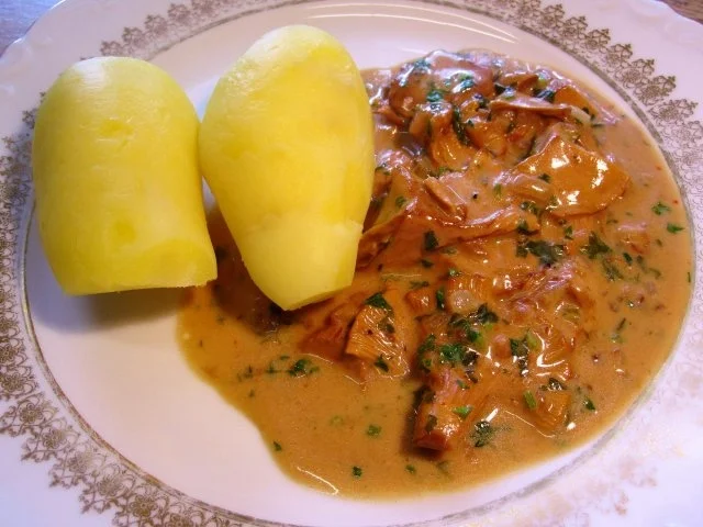 Rezept: Rahm-Pfifferlinge mit Pellkartoffeln Bild Nr. 5 Rahm-Pfifferlinge mit Pellkartoffeln - Rezept - Bild Nr. 5