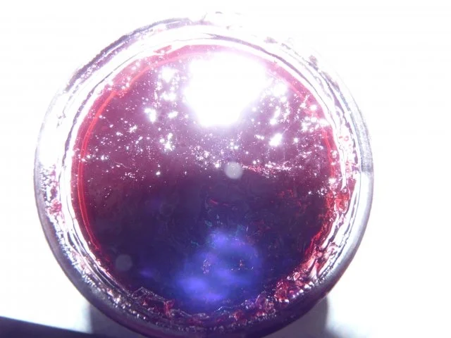 Rezept: Traubengelee mit Chili Bild Nr. 2 Traubengelee mit Chili - Rezept - Bild Nr. 2