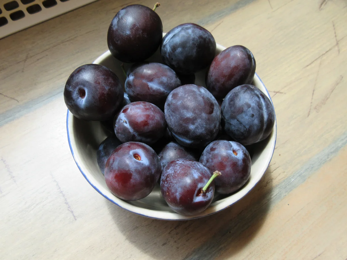 Zwetschkenknödel mit Semmelbrösel - Rezept - Bild Nr. 2