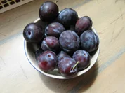 Zwetschkenknödel mit Semmelbrösel - Rezept - Bild Nr. 2