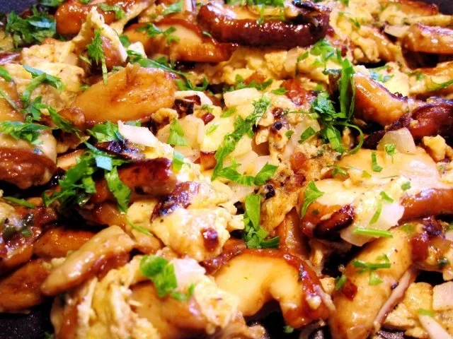 Rezept: Steinpilze mit Ei zum Abendbrot Bild Nr. 8 Steinpilze mit Ei zum Abendbrot - Rezept - Bild Nr. 8