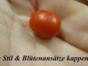 Hagebutten-Orangengelee mit Tonkabohne und Ingwer gepimmt - Rezept - Bild Nr. 3