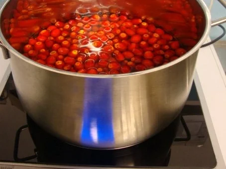 Hagebutten-Orangengelee mit Tonkabohne und Ingwer gepimmt - Rezept - Bild Nr. 4