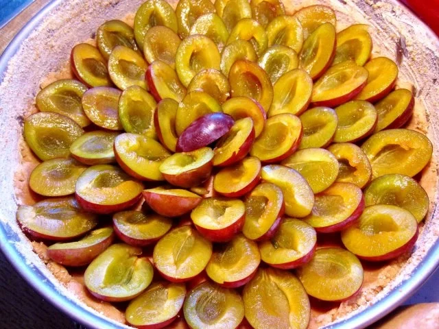 Rezept: Pflaumen-Streuselkuchen Bild Nr. 5 Pflaumen-Streuselkuchen - Rezept - Bild Nr. 5