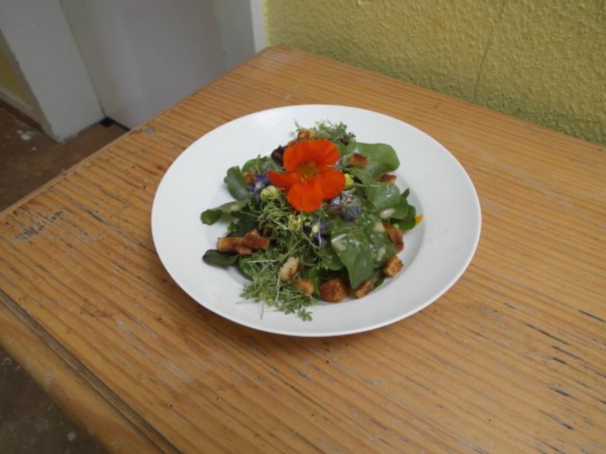 Wildkräuter-Blumensalat - Rezept