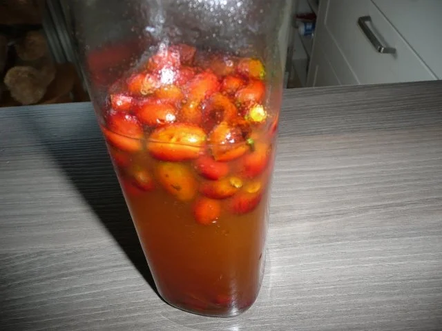 Rezept: Hagebutten Likör : Rezept eines alten Herrn. Bild Nr. 2 Hagebutten Likör : Rezept eines alten Herrn. - Rezept - Bild Nr. 2