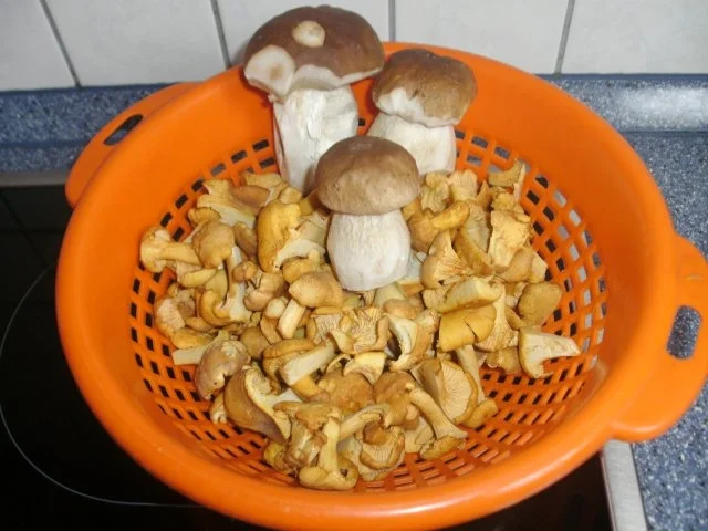 Risotto mit frischen Pfifferlingen und Steinpilzen - Rezept - Bild Nr. 2