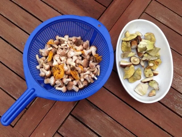 Putenschnitzel mit Beilagen - Rezept - Bild Nr. 2