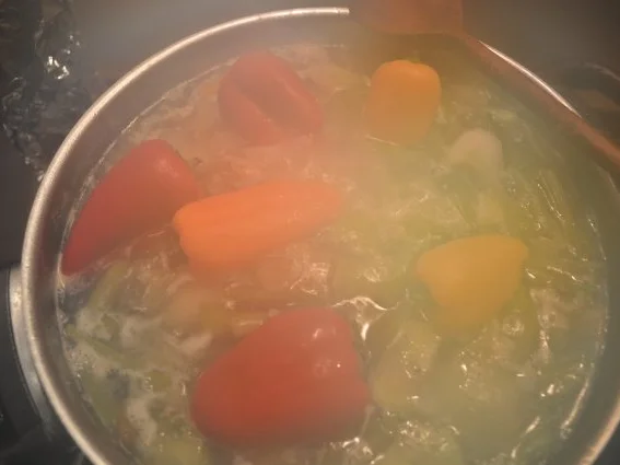 falsches "Giouvetsi" quer duch´n Garten ! - Rezept - Bild Nr. 16