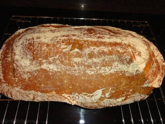 Ciabatta ohne Kneten - Rezept