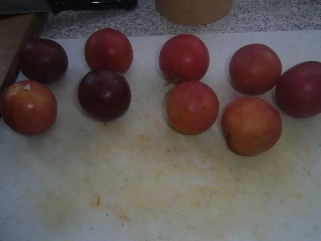 Rezept: beschwipstes Kürbisdessert Bild Nr. 3 beschwipstes Kürbisdessert - Rezept - Bild Nr. 3