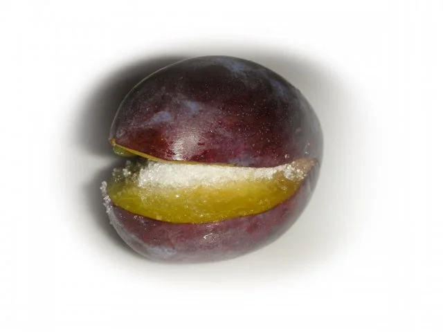 Zwetschgenknödel mit Apfel-Zwetschgen-Sauce - Rezept - Bild Nr. 12