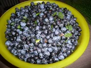 Schlehen - Marmelade mit Apfel oder Birne. - Rezept